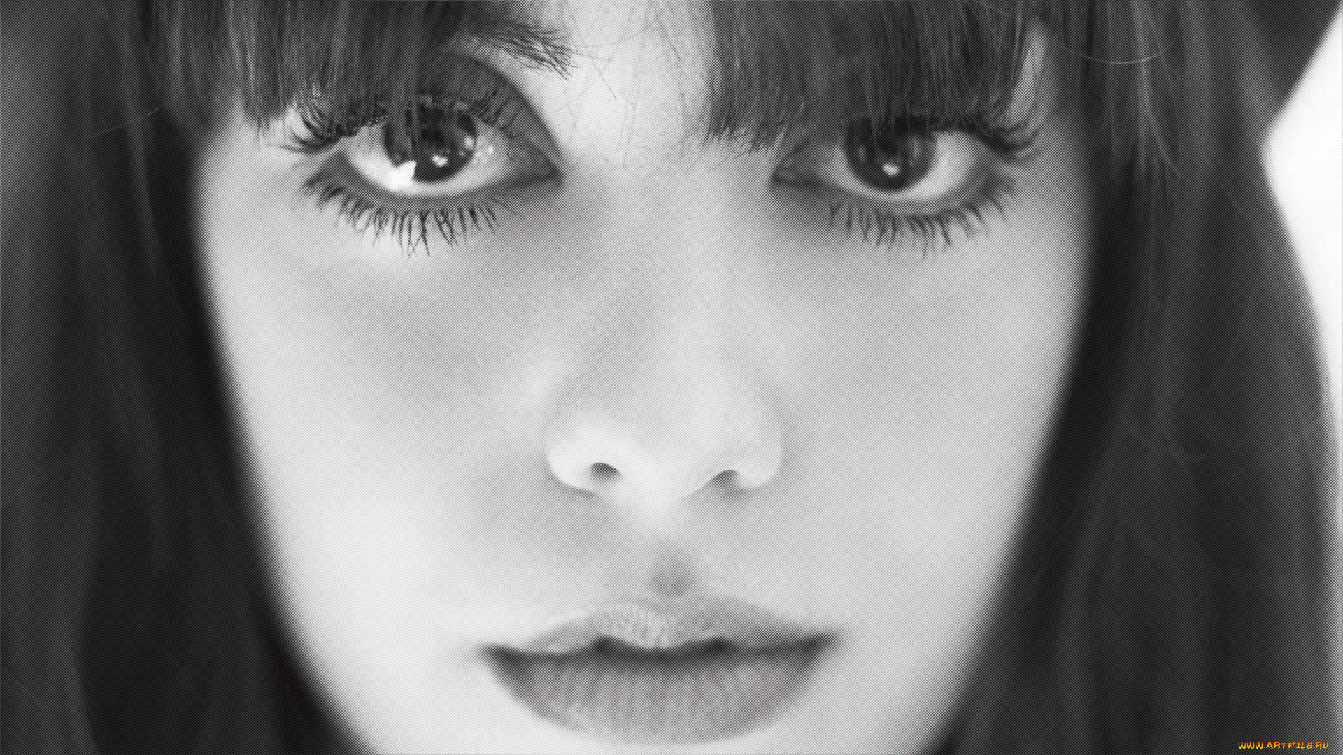 diane-birch, , diane birch, 